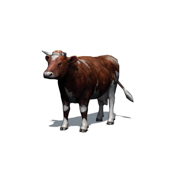 Фермерские Животные Коричневая Корова Тенью Полу Изолированы Белом Фоне Иллюстрация — стоковое фото