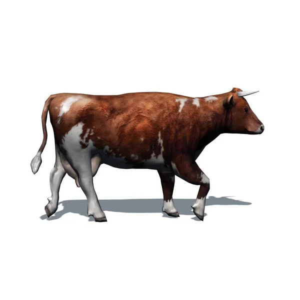 Nutztiere Braune Kuh Mit Schatten Auf Dem Boden Isoliert Auf — Stockfoto
