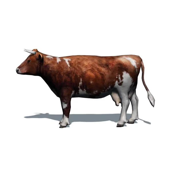 Фермерские Животные Коричневая Корова Тенью Полу Изолированы Белом Фоне Иллюстрация — стоковое фото