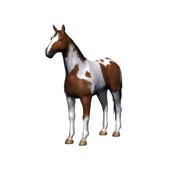 Lantbruksdjur Häst Isolerad Vit Bakgrund Illustration — Stockfoto