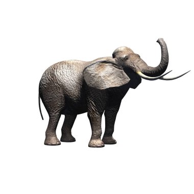 Vahşi hayvanlar - fil - beyaz arka planda izole - 3 boyutlu illüstrasyon