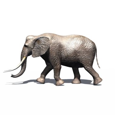 Vahşi hayvanlar - yerde gölgesi olan fil - beyaz arka planda izole edilmiş - 3 boyutlu illüstrasyon