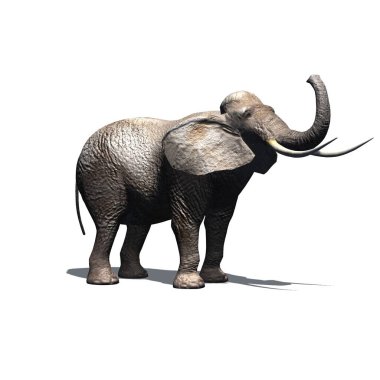 Vahşi hayvanlar - yerde gölgesi olan fil - beyaz arka planda izole edilmiş - 3 boyutlu illüstrasyon