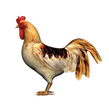 Çiftlik hayvanları - horoz - beyaz arka planda izole - 3 boyutlu illüstrasyon