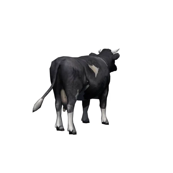 Farm Animals Cow Isolated White Background Illustration — Stock Photo, Image