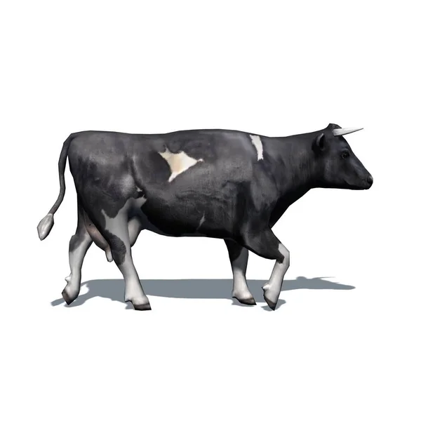 Animais Fazenda Vaca Com Sombra Chão Isolados Fundo Branco Ilustração — Fotografia de Stock