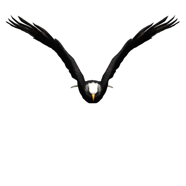 野生动物 在白色背景下隔离的鹰 3D插图 — 图库照片