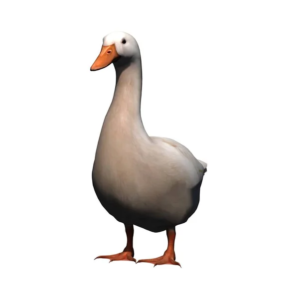 Farm Animals White Goose Isolated White Background Illustration — Stock Photo, Image