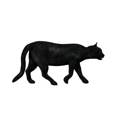 Çiftlik hayvanları - kedi - beyaz arka planda izole - 3 boyutlu illüstrasyon