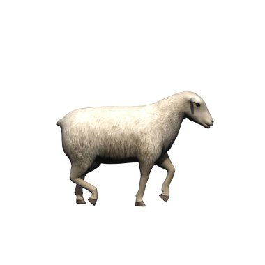 Çiftlik hayvanları - koyunlar - beyaz arka planda izole edilmiş - 3 boyutlu illüstrasyon