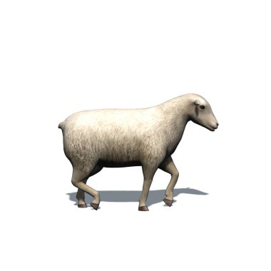 Çiftlik hayvanları - yerde gölgesi olan koyunlar - beyaz arka planda izole edilmiş - üç boyutlu illüstrasyon