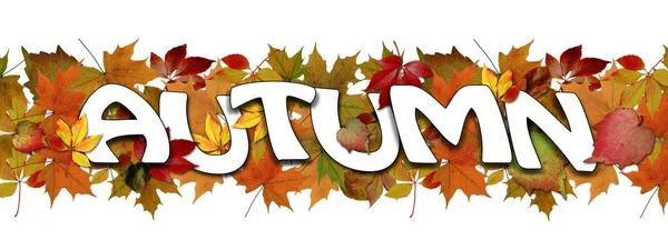 Letras Autumn Sobre Folhas Coloridas Sobre Fundo Branco Ilustração — Fotografia de Stock