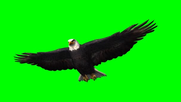 Eagle 1 - zöld képernyő siklik a
