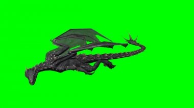 Dragon yüzer - 2 farklı Yeşil perde çeşitleri