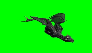 Dragon yüzer - 2 farklı Yeşil perde modelleri 2