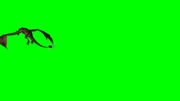 Dragão - wyvern está voando - 3 visualizações diferentes — Vídeo de Stock