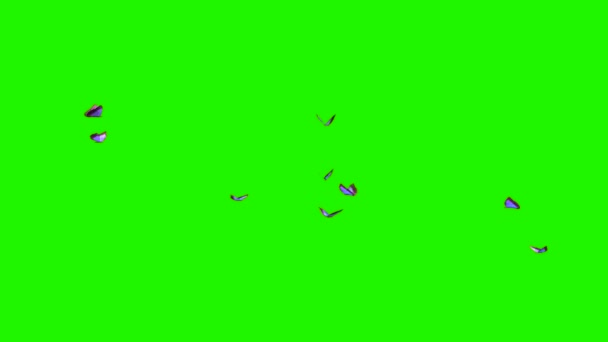 Blauwe vlinders - kleine zwerm op groen scherm — Stockvideo