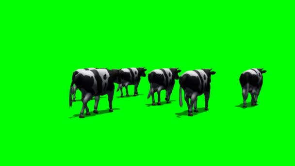 4,457 Green screen animals Videos, Royalty-free Stock Green screen animals Footage | Depositphotos 4,457 Green screen animals Videos, Royalty-free Stock Green screen animals Footage | Depositphotos