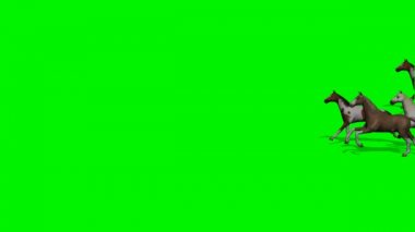 Büyük grup at geçmiş çalışan