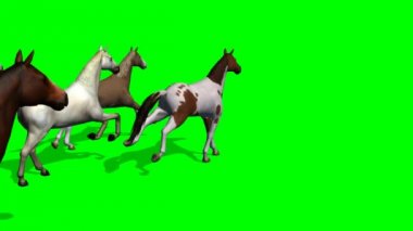 Grup çalışan atlar