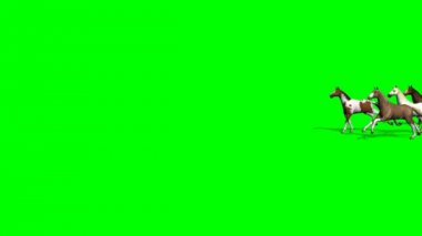 Grup çalışan atlar