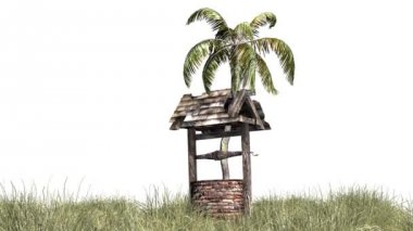Eski de palm