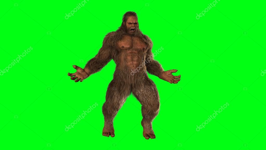 Bestgreenscreen
