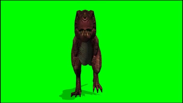 1 313 Tyrannosaurus Rex Stock Videos Royalty Free Tyrannosaurus Rex Footage Depositphotos