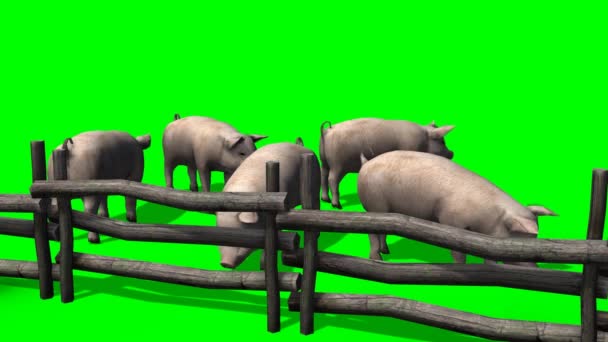 11 819 Funny Animals Stock Videos Royalty Free Funny Animals Footage Depositphotos