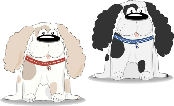 iki köpek oturuyor.