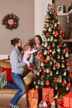 Mutlu aile yeni yılı ve Noel tatilini kutluyor..