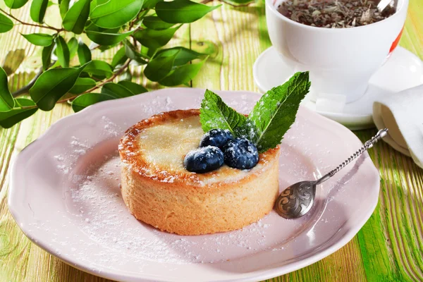 Pastel de sémola de arándanos y menta en un plato gris Provenza bodegón postre —  Fotos de Stock