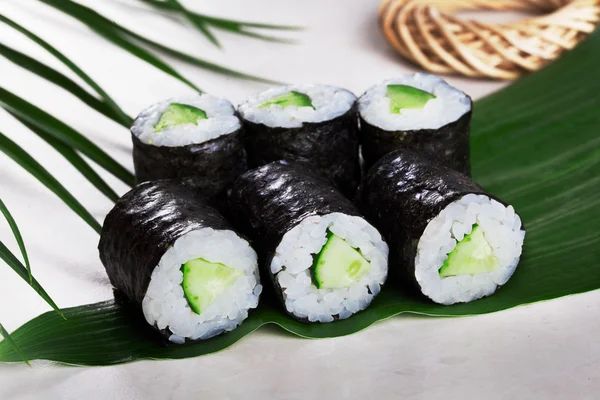 Sushi gulung mentimun chives mini kappa maki dalam kehidupan masih di atas daun tropis hosomaki — Stok Foto