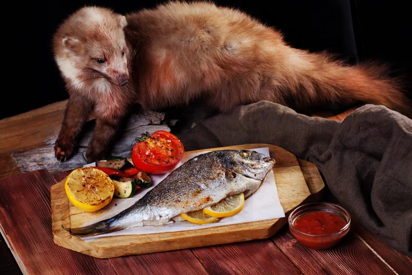 Weißfisch Dorado Vollgemüse, Seebarschmink gefüllte Präparatoren — Stockfoto