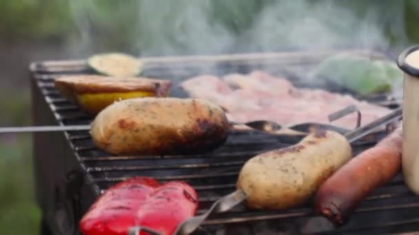 Sausages on the grill, skewers, smoked, hand takes, smoke, flames barbecue, picnic, nature — Stock Video