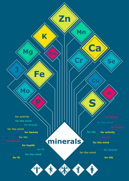 Broccoli 4 Fotos 1 Palabra / Composición de saludable brócoli madura — Foto de stock ...