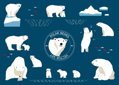 Polar bears set