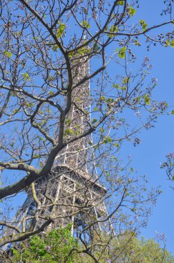 Eyfel Kulesi böbrekler ile ağacın arkasında