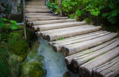 Kadife yol ve suyun Plitvice Gölleri Milli Parkı'nda