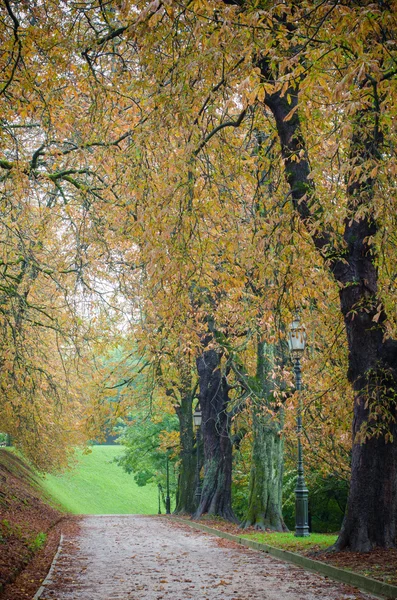 Droga w parku w zamek w Lublanie — Zdjęcie stockowe