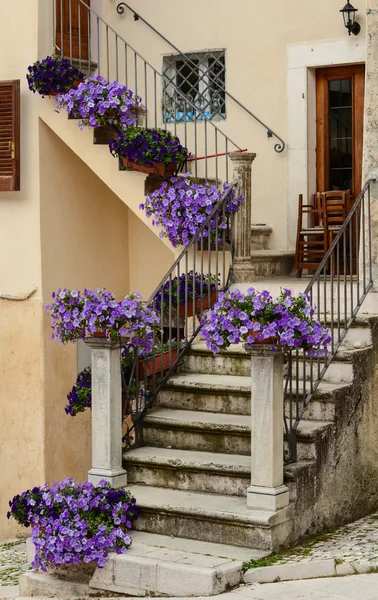 Townscape Scanno, surfiniya çiçekleri ile merdivenlerden