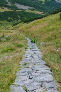 İleriye yazında kayalık iz 