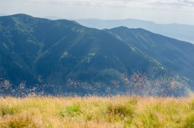 Yazın tepe manzarası