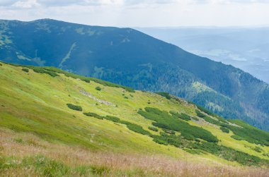 Yazın tepe manzarası