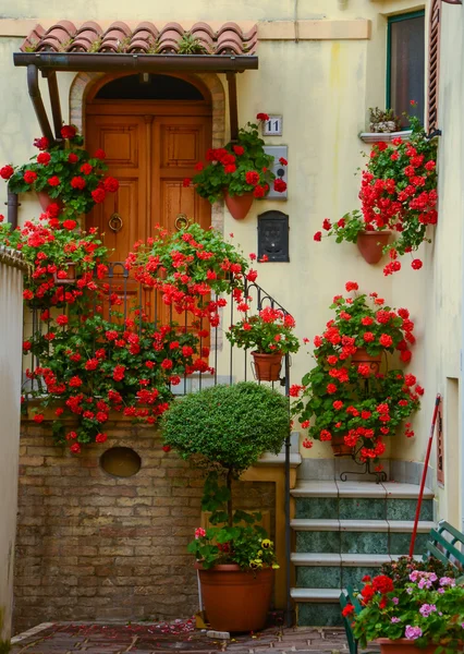 Courtyard in town Atri, door and stairs with red flowers