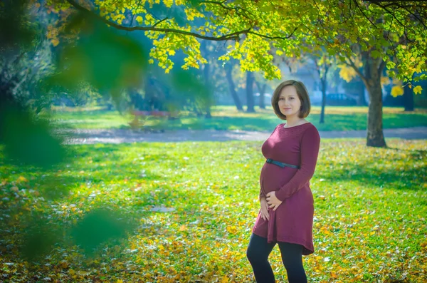 Bella donna incinta nel parco autunnale — Foto Stock