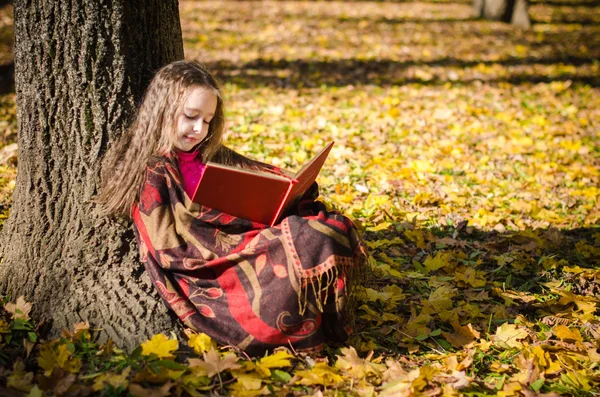 Bella ragazza sorridente seduta e lettura del libro — Foto Stock