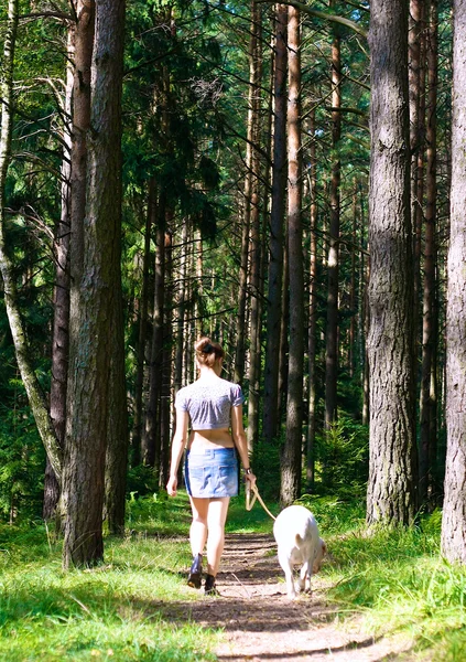 Köpeğini açık havada dinlenme ile kız — Stok fotoğraf