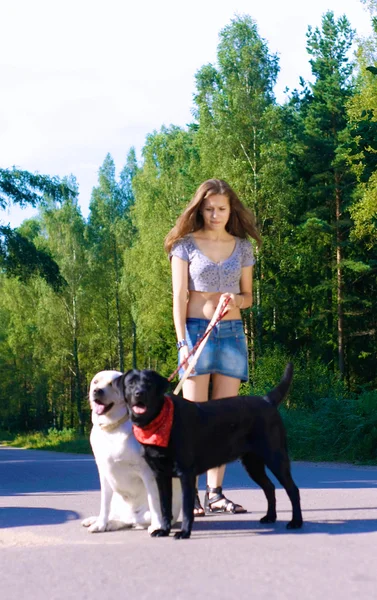 Mädchen mit Hund ruht sich im Freien aus — Stockfoto