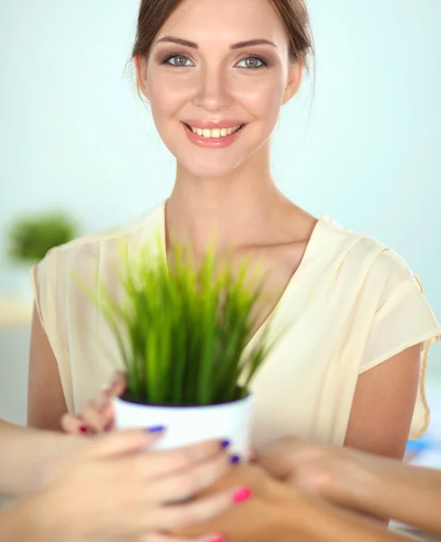 Beautiful woman holding pot with a plant, standing — Stock Photo, Image